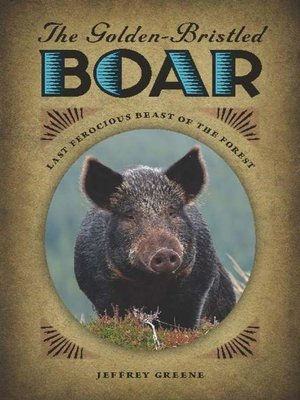 cover image of The Golden-Bristled Boar